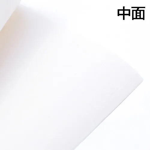 ヒノキのA4ファイル