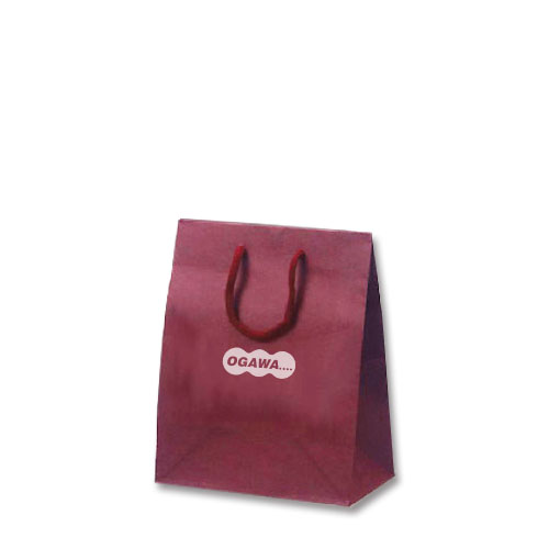 カラークラフト セミオーダー紙袋 小物用サイズ（シルク印刷）