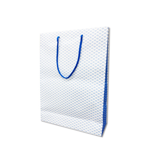フルオーダー紙袋 A4サイズ（オフセット印刷）